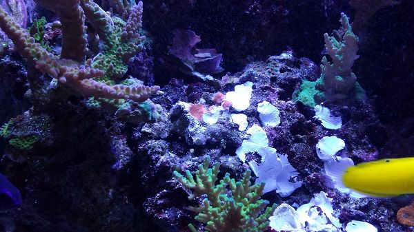 20141009_175741_zps5bd4484e.jpg