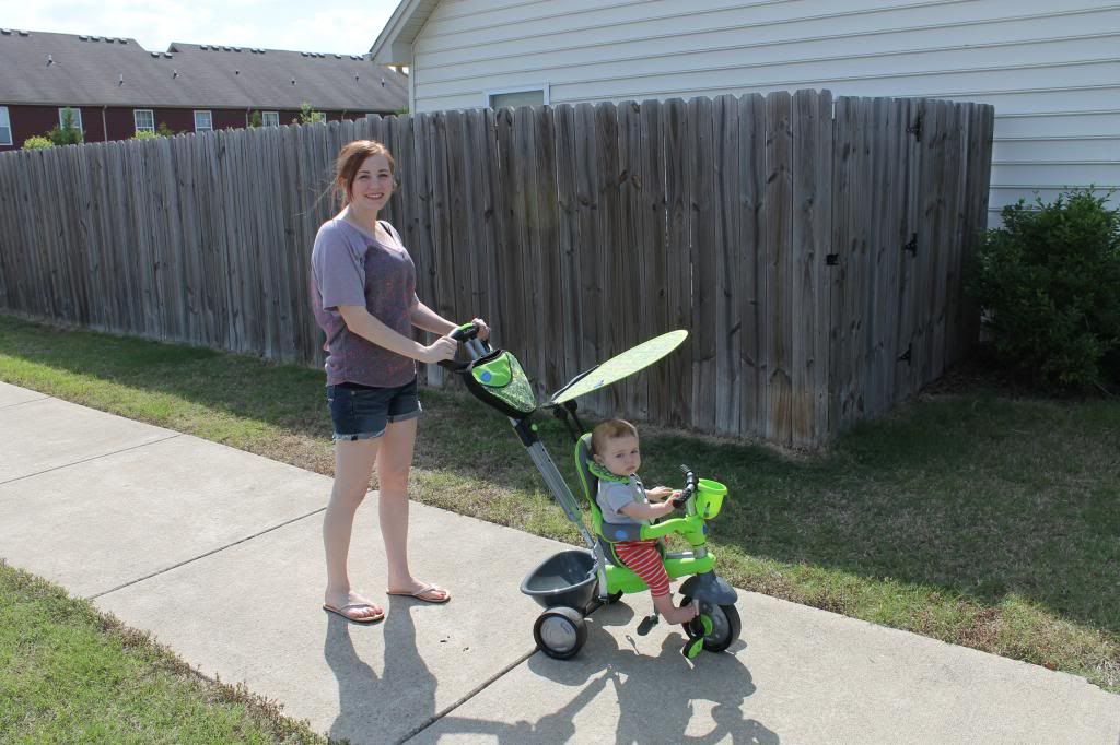 Harvey and me courtney adams