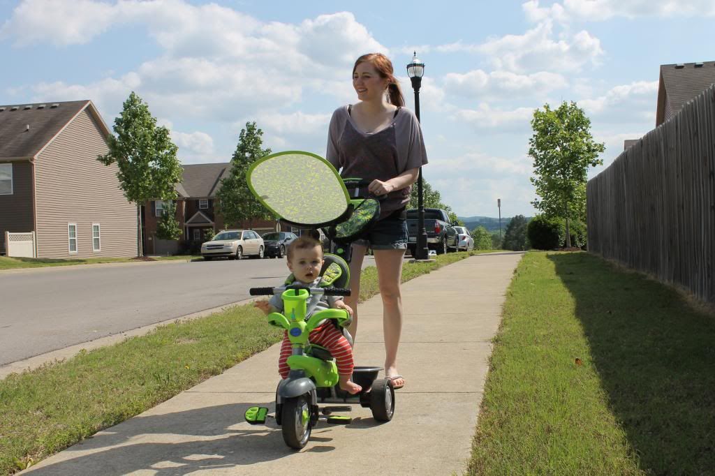 Harvey and me Courtney Adams