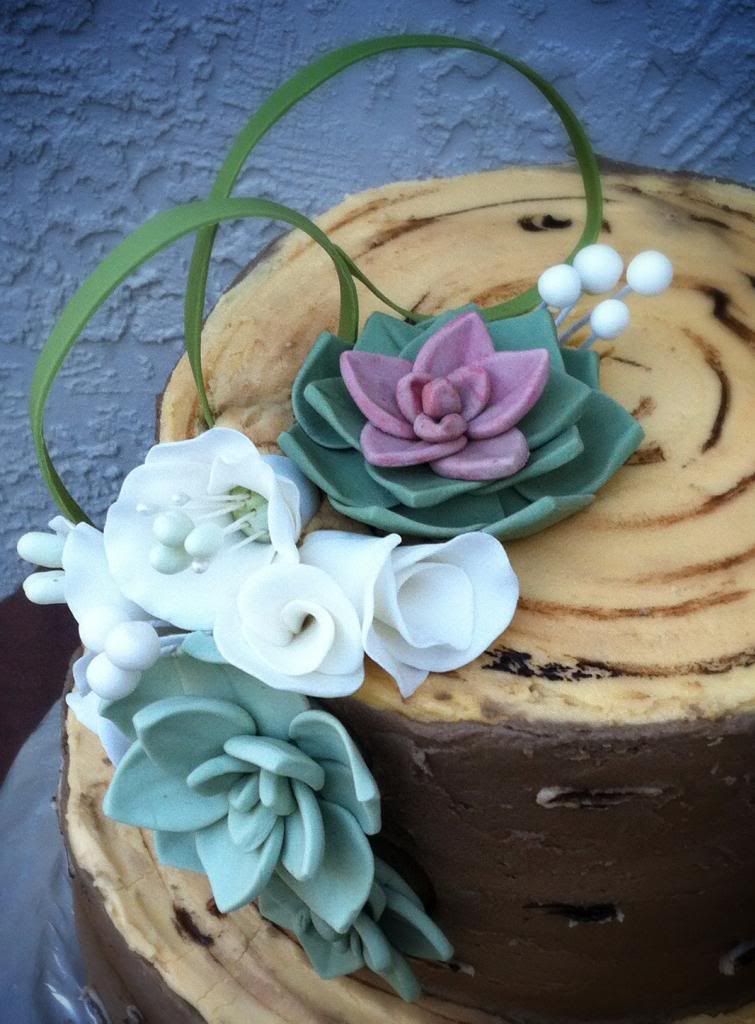 Succulent Cake succulent cake peche petite wedding atlanta