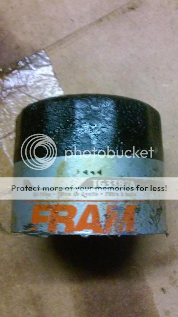 Fram Tough Guard 3387A CUT OPEN [PICS] Bob Is The Oil Guy