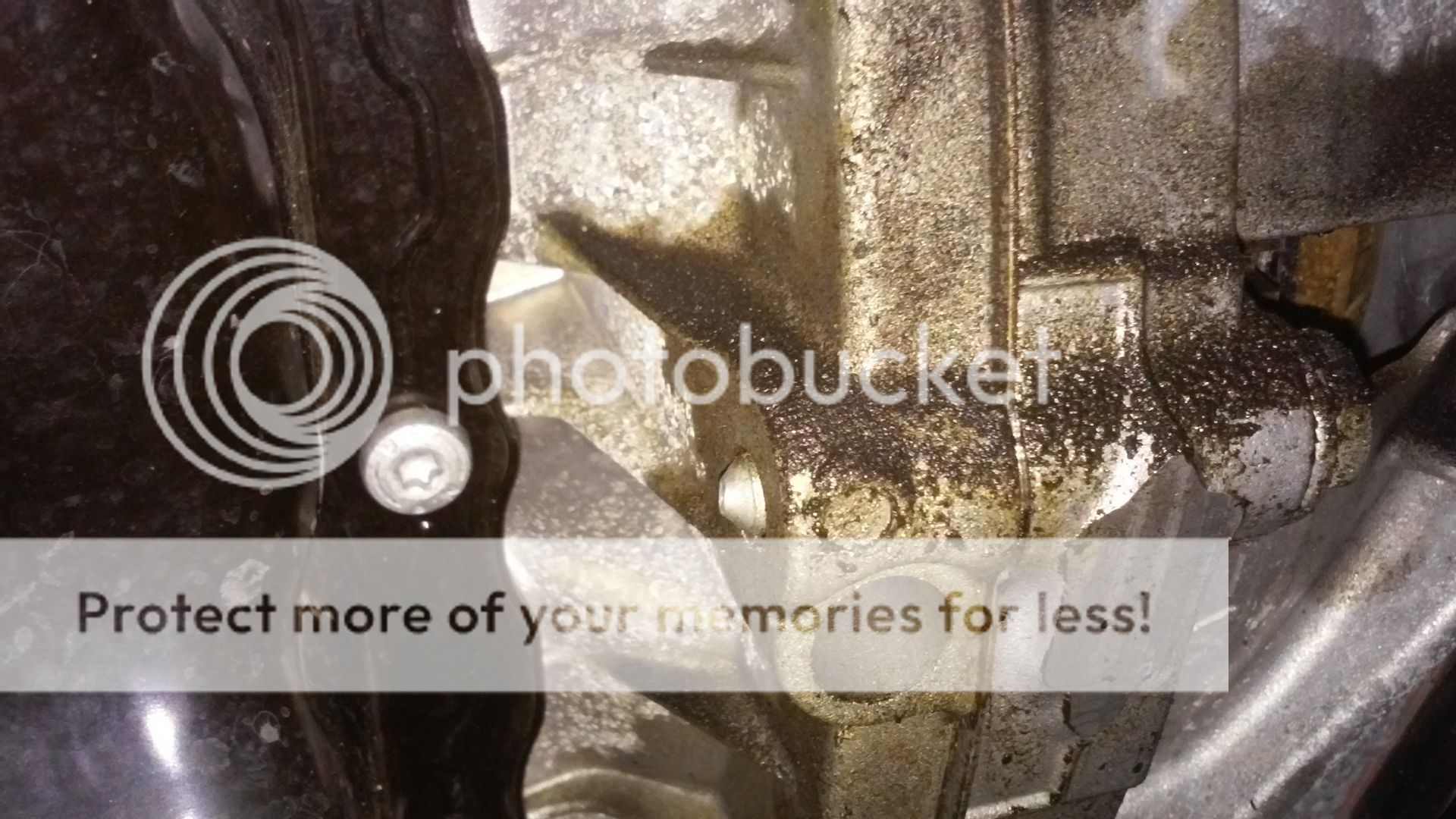 2014 VW Jetta 1.8t oil leak? {PICS} Bob Is The Oil Guy