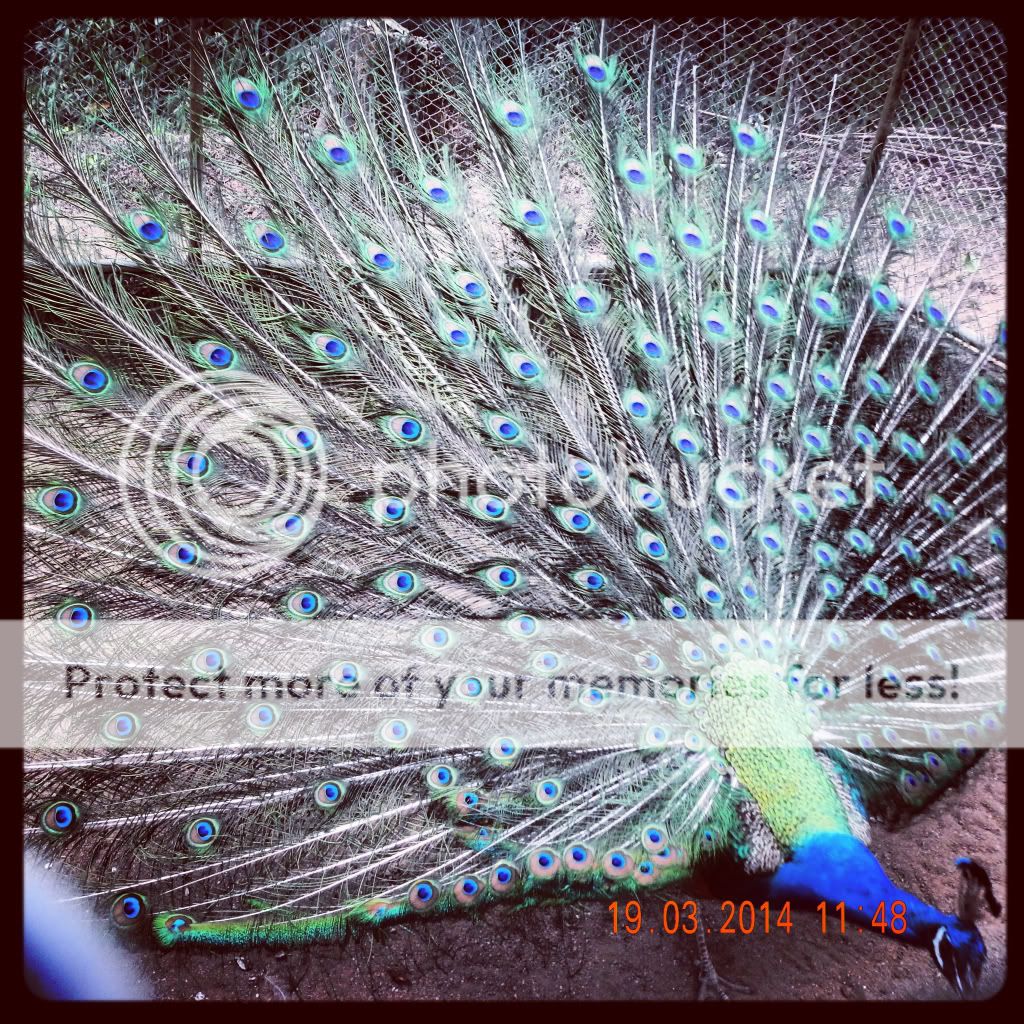 Photobucket Pictures, Images and Photos