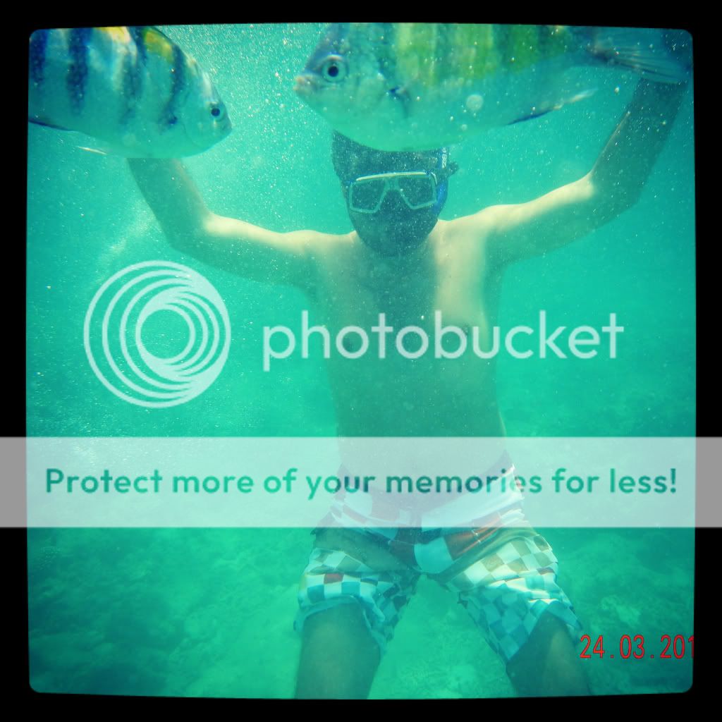 Photobucket Pictures, Images and Photos