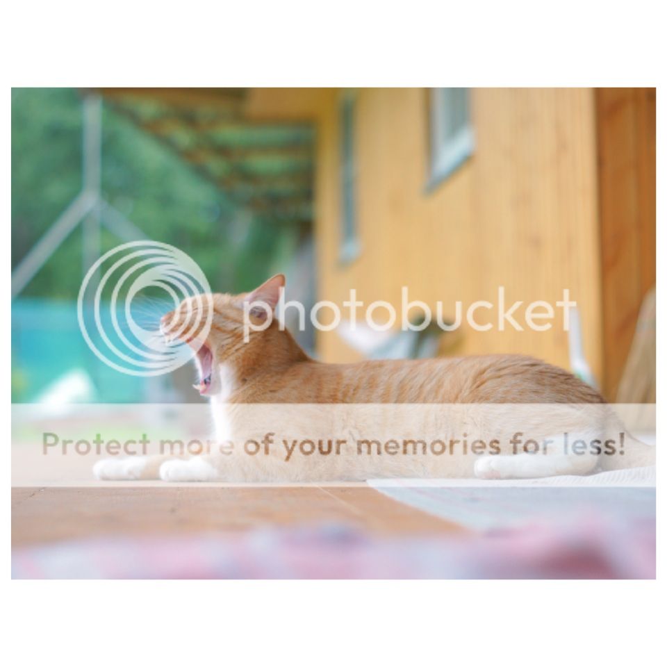Photobucket Pictures, Images and Photos