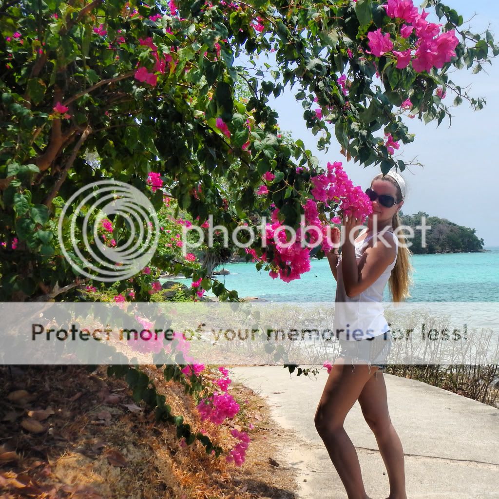 Photobucket Pictures, Images and Photos