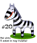 zebra20